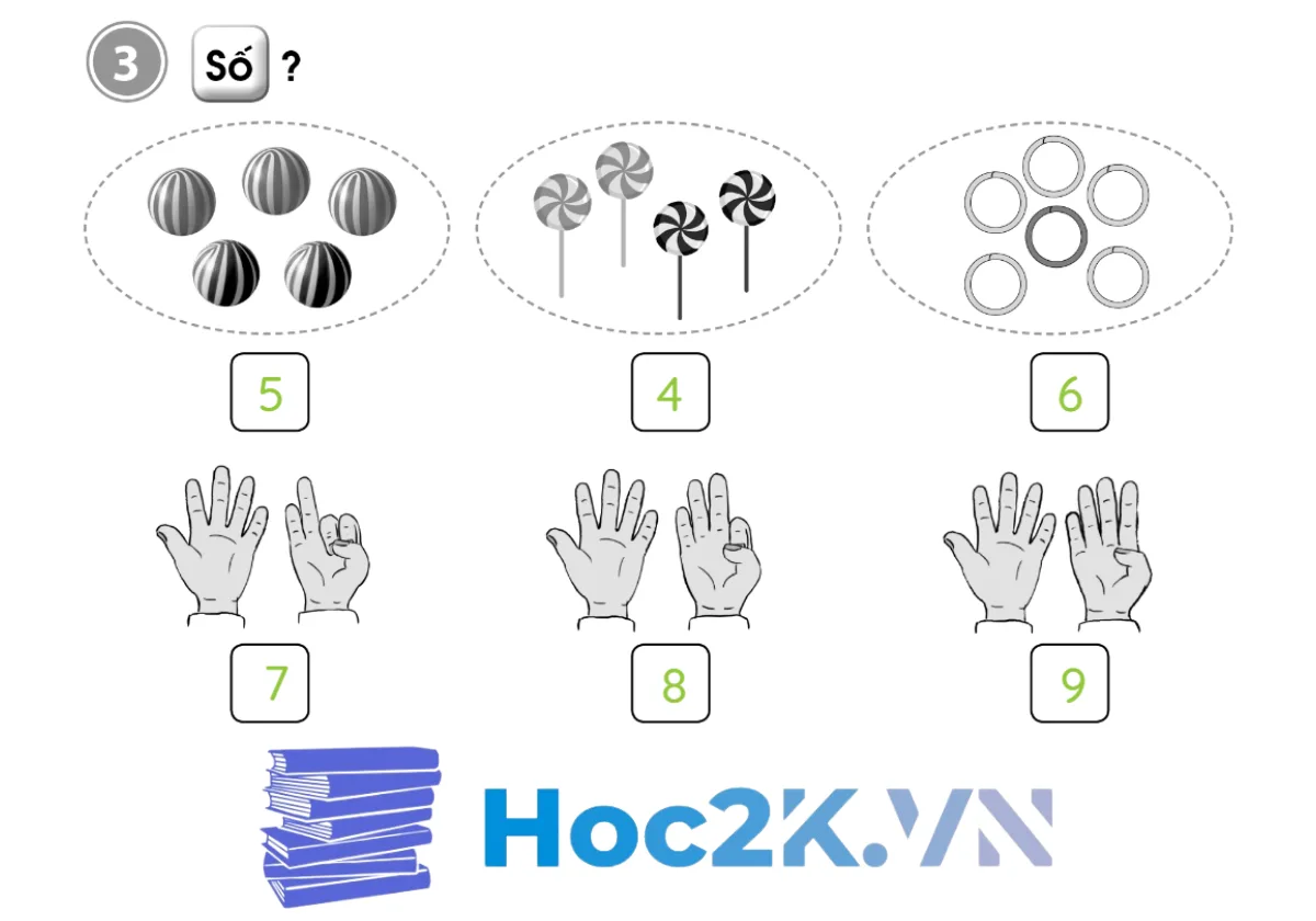 Bài 12: Em ôn lại những gì đã học - Hình 8