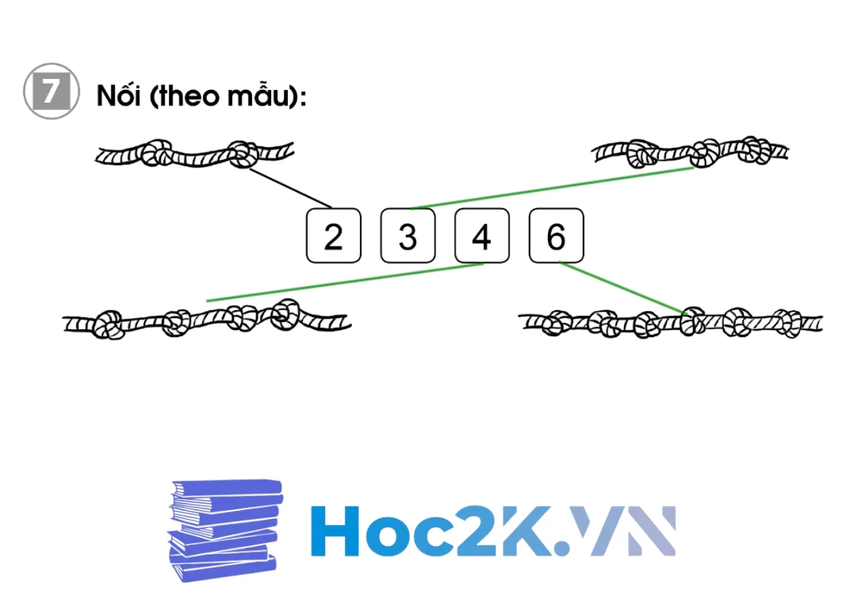 Bài 13: Bài kiểm tra số 1 - Hình 13