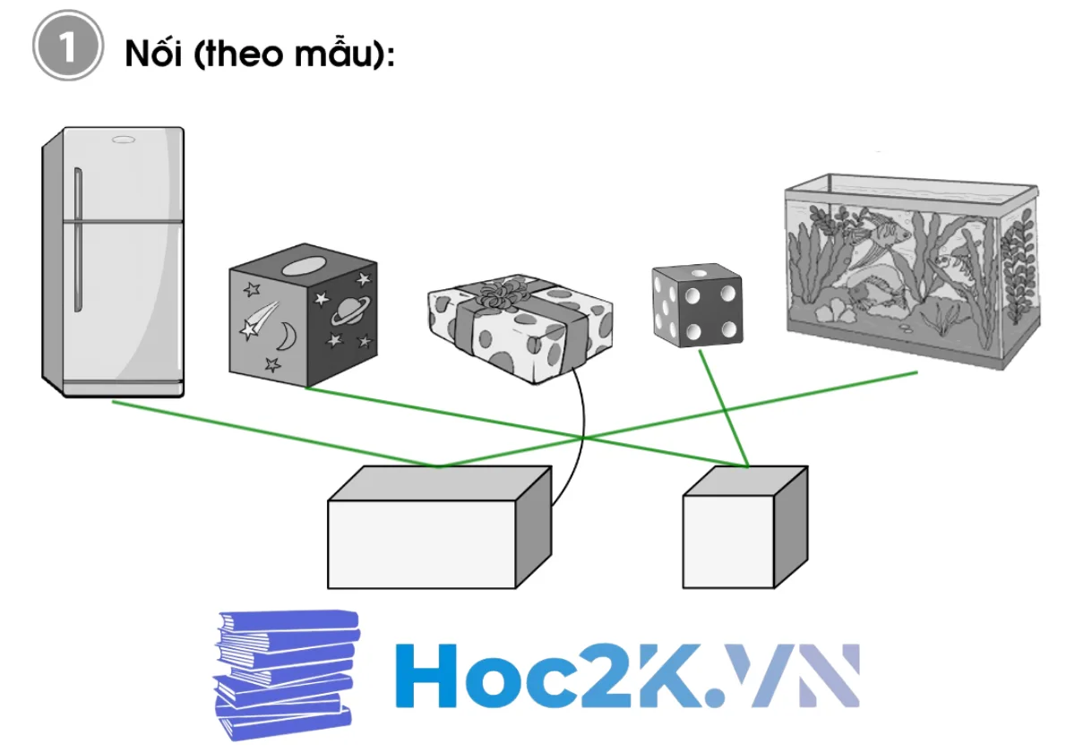 Bài 23: Khối hộp chữ nhật - Khối lập phương - Hình 2