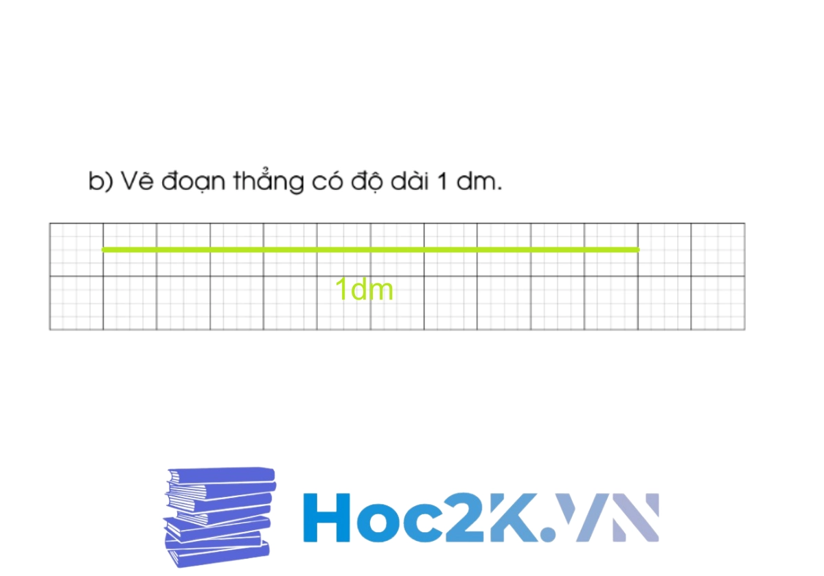 Bài 49: Ôn tập về hình học và đo lường - Hình 8