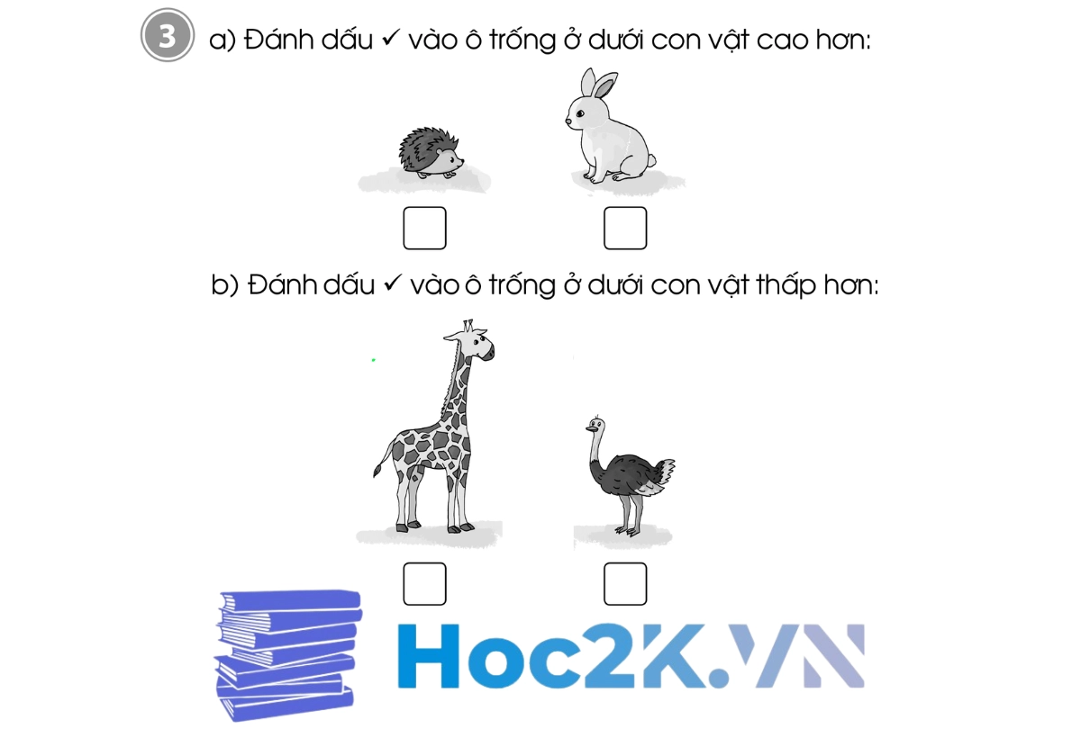 Bài 51: Dài hơn - Ngắn hơn - Hình 5