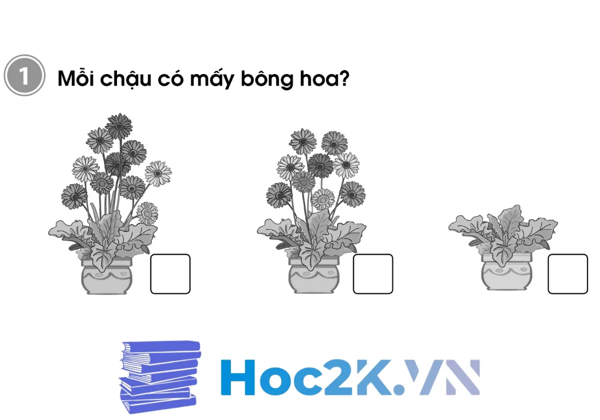 Bài 8: Luyện tập - Hình 1