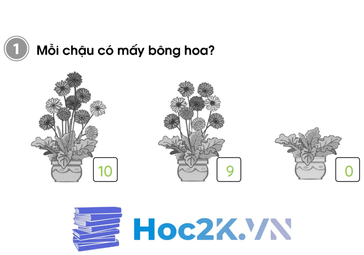 Bài 8: Luyện tập - Hình 2