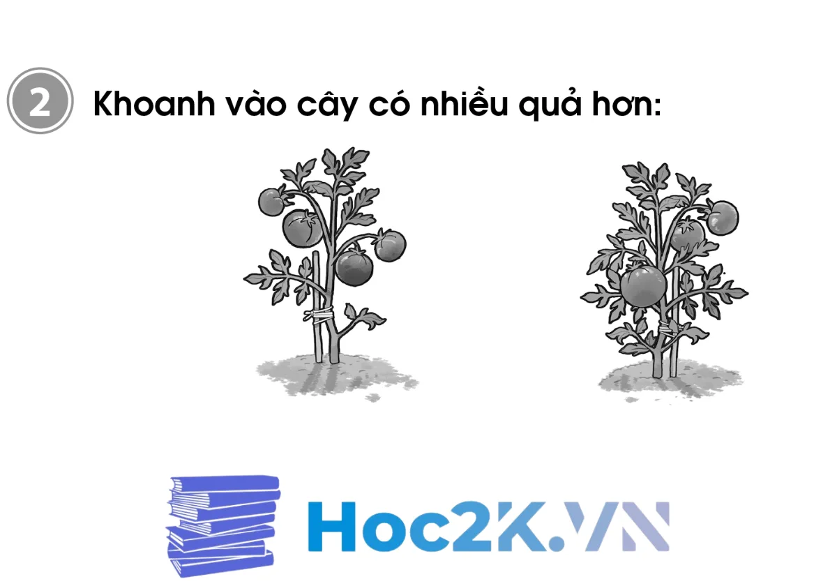 Bài 9: Nhiều hơn - Ít hơn - Bằng nhau - Hình 3