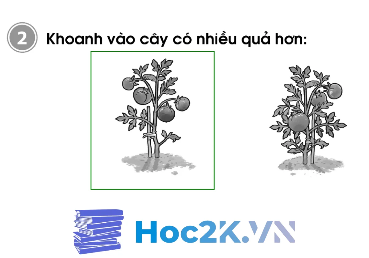 Bài 9: Nhiều hơn - Ít hơn - Bằng nhau - Hình 4