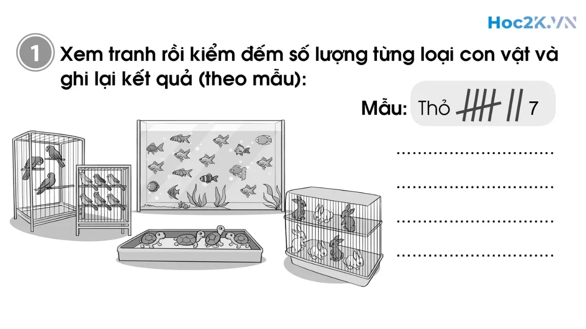 Bài 98: Ôn tập về một số yếu tố thống kê và xác suất - Hình 1 Bài 98: Ôn tập về một số yếu tố thống kê và xác suất - Hình 1