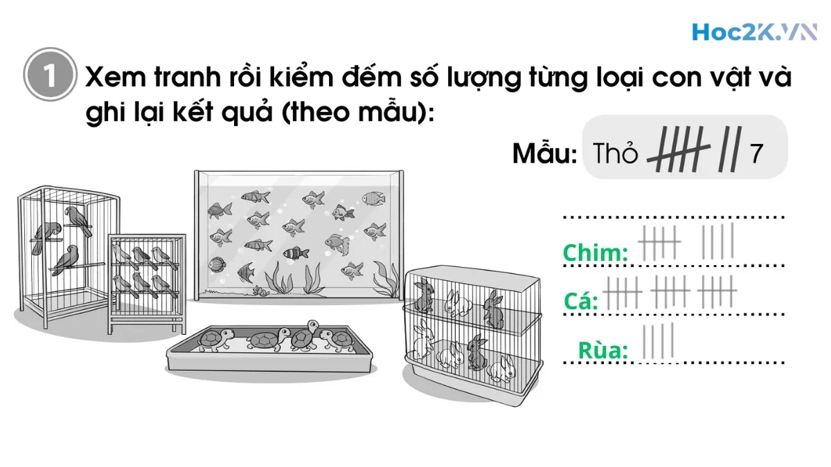 Bài 98: Ôn tập về một số yếu tố thống kê và xác suất - Hình 2 Bài 98: Ôn tập về một số yếu tố thống kê và xác suất - Hình 2