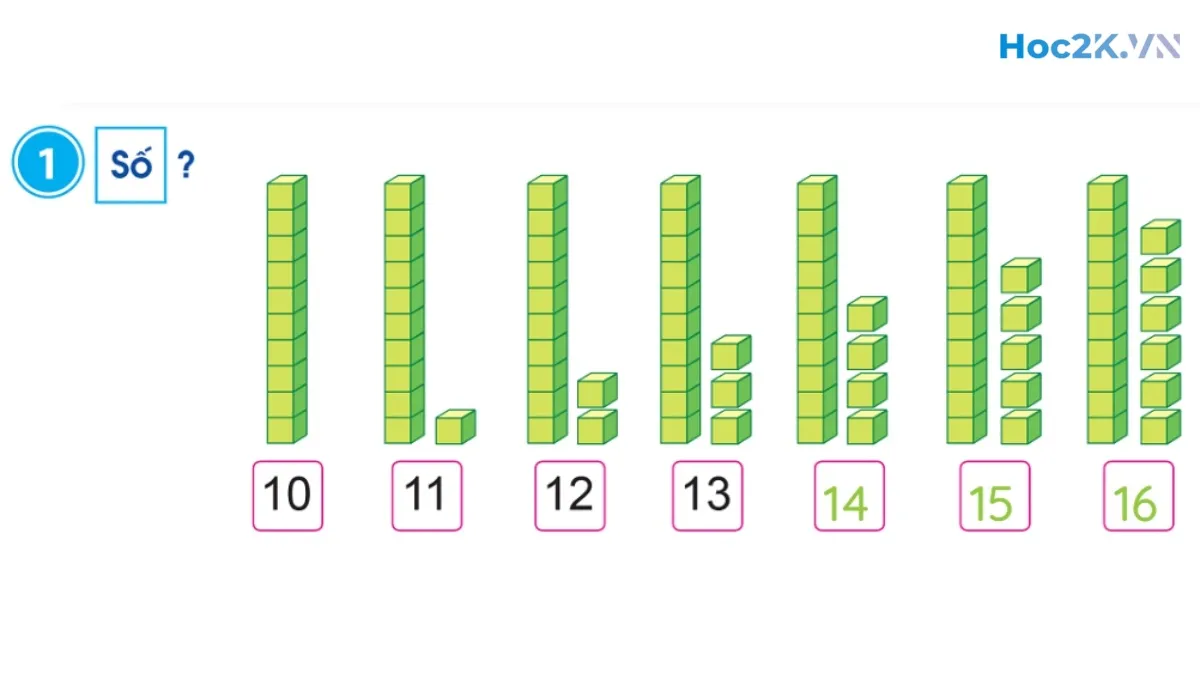 Các số 11, 12, 13, 14, 15, 16 - Hình 2 Các số 11, 12, 13, 14, 15, 16 - Hình 2