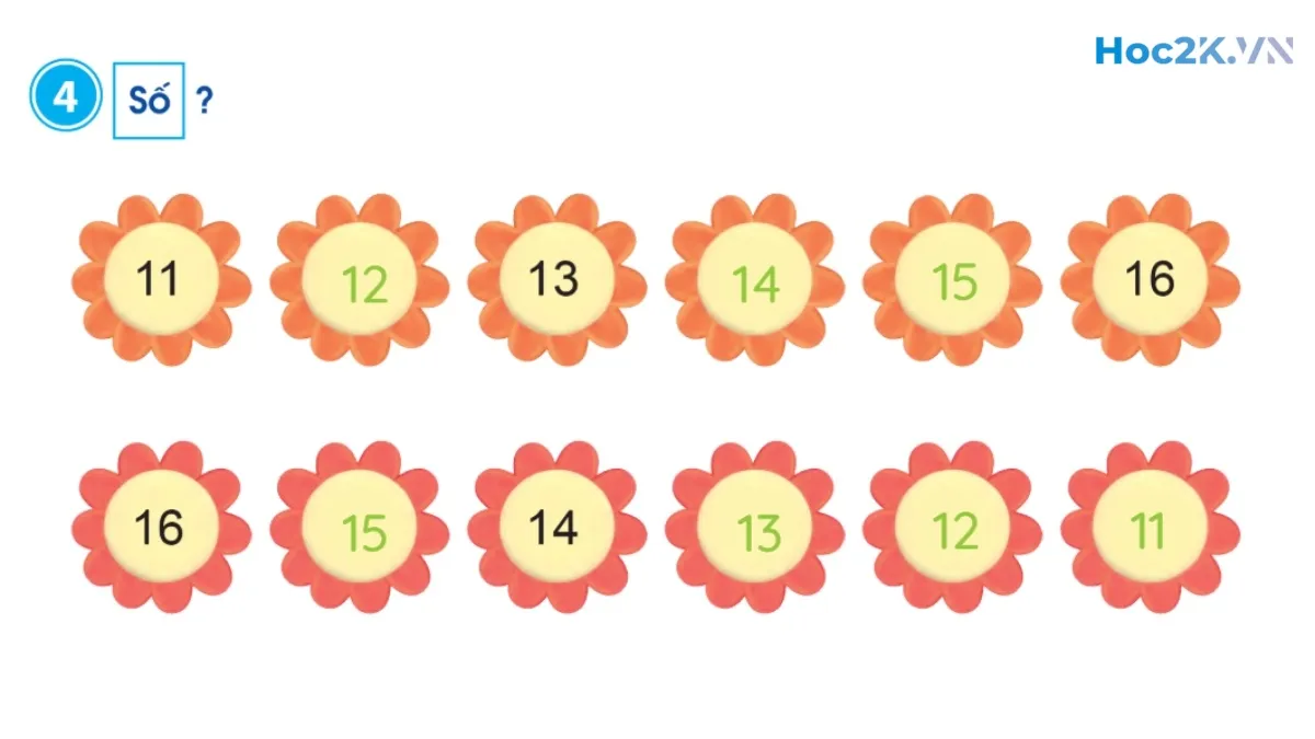 Các số 11, 12, 13, 14, 15, 16 - Hình 8 Các số 11, 12, 13, 14, 15, 16 - Hình 8
