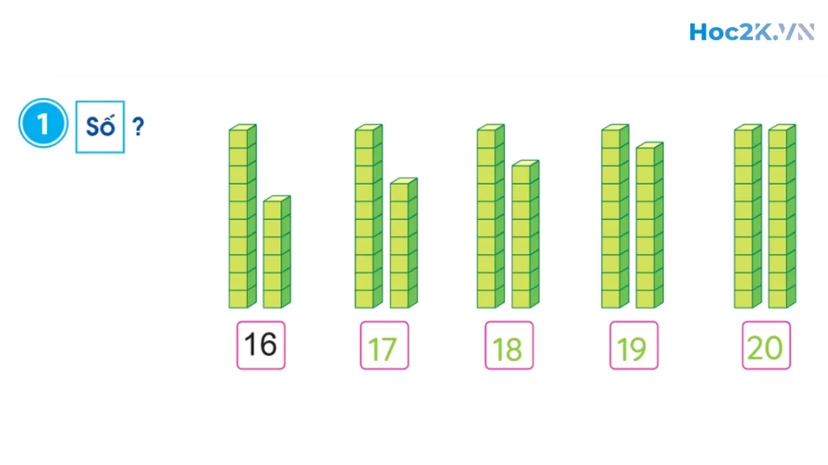 Các số 17, 18, 19, 20 - Hình 2 Các số 17, 18, 19, 20 - Hình 2