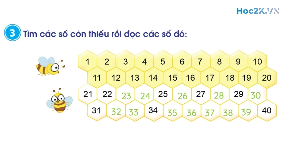 Các số có hai chữ số (từ 21 đến 40) - Hình 6 Các số có hai chữ số (từ 21 đến 40) - Hình 6