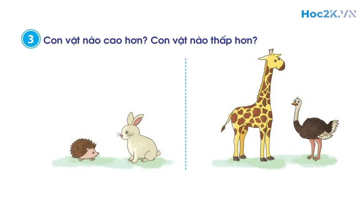 Dài hơn - Ngắn hơn - Hình 5 Dài hơn - Ngắn hơn - Hình 5