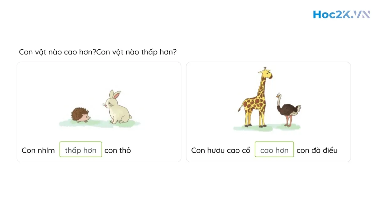 Dài hơn - Ngắn hơn - Hình 6 Dài hơn - Ngắn hơn - Hình 6
