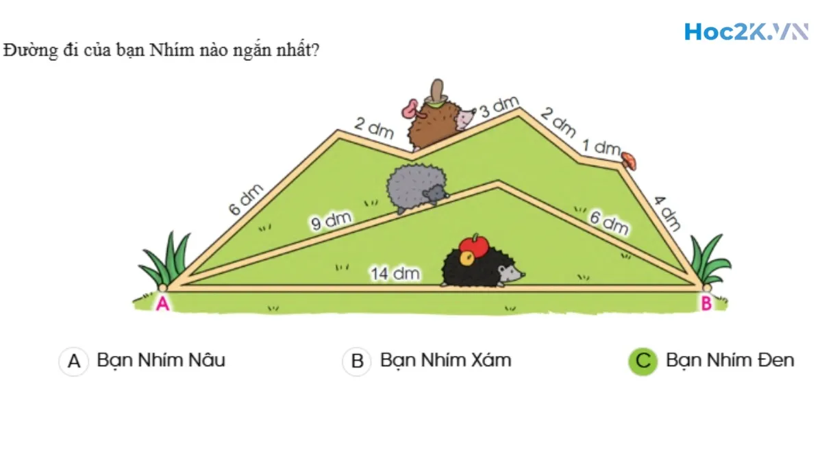 Độ dài đoạn thẳng – Độ dài đường gấp khúc - Hình 10