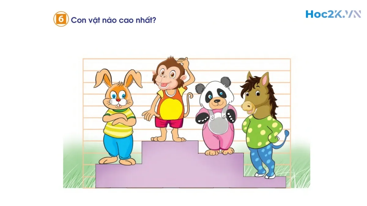 Em ôn lại những gì đã học - Hình 11 Em ôn lại những gì đã học - Hình 11