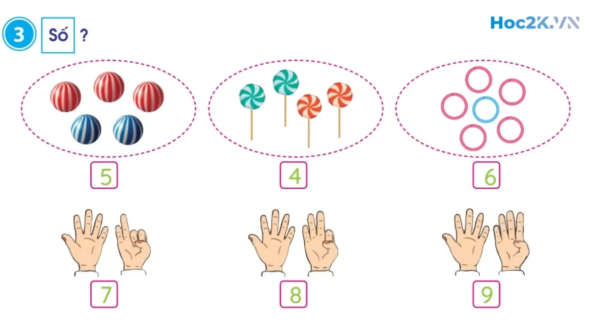 Em ôn lại những gì đã học - Hình 6