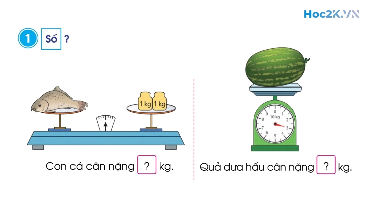 Ki-lô-gam - Hình 1 Ki-lô-gam - Hình 1