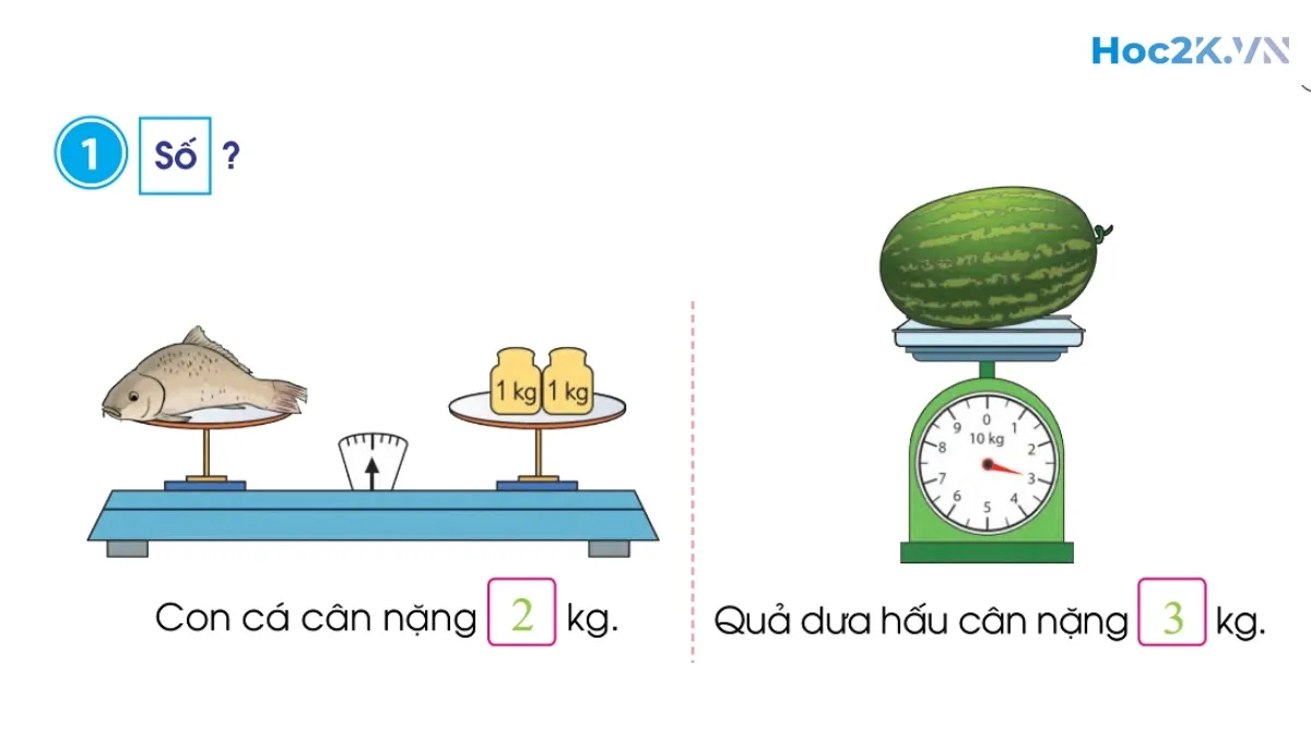 Ki-lô-gam - Hình 2 Ki-lô-gam - Hình 2