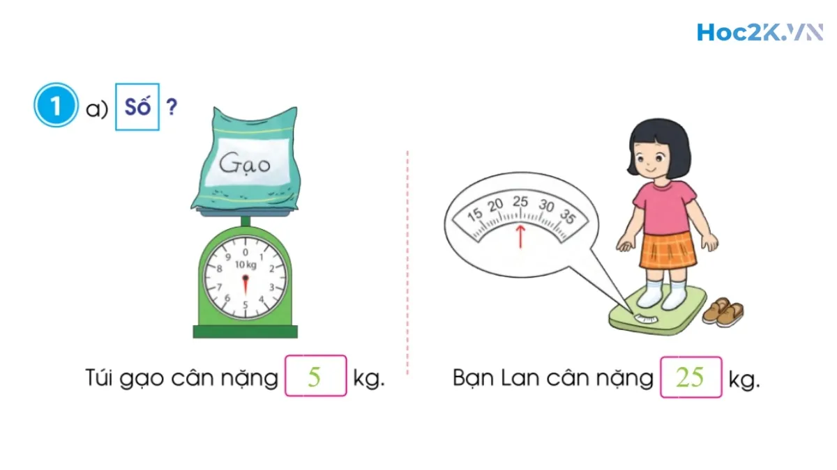 Luyện tập chung - Hình 2