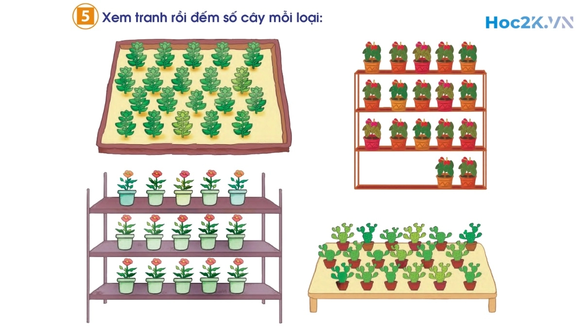 Luyện tập - Hình 9 Luyện tập - Hình 9