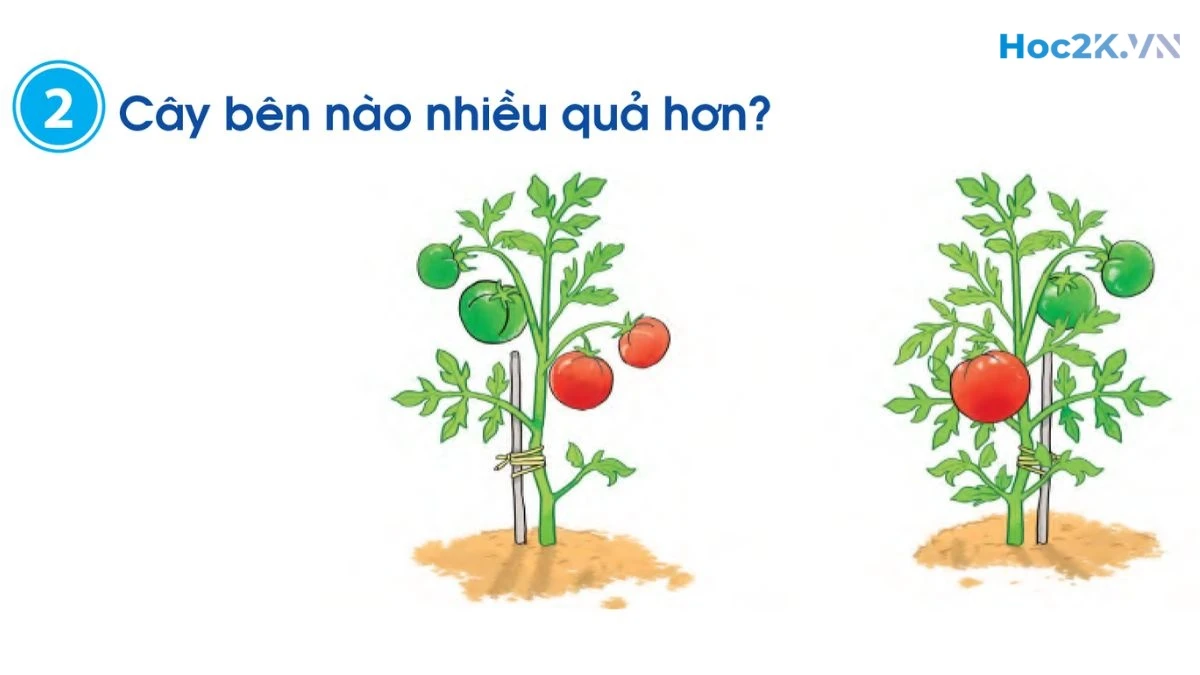 Nhiều hơn - ít hơn - bằng nhau - Hình 3