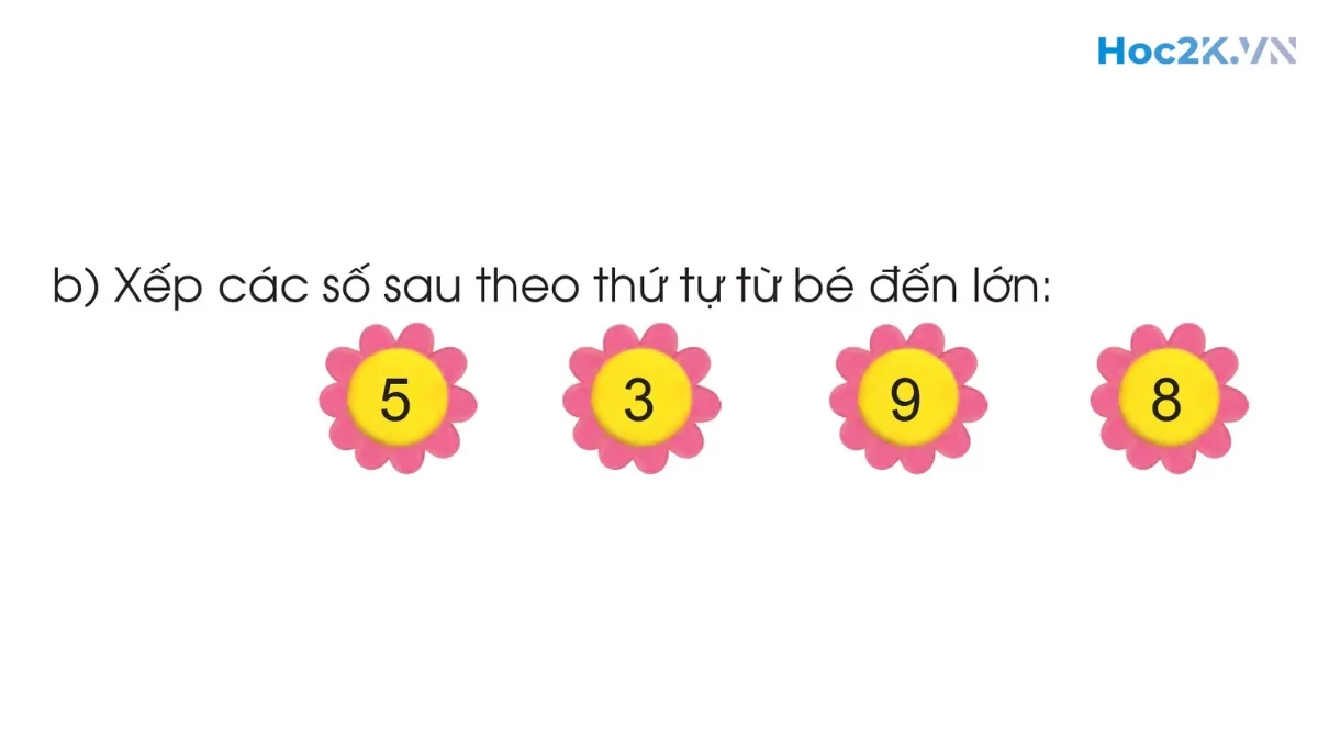 Ôn tập - Hình 5