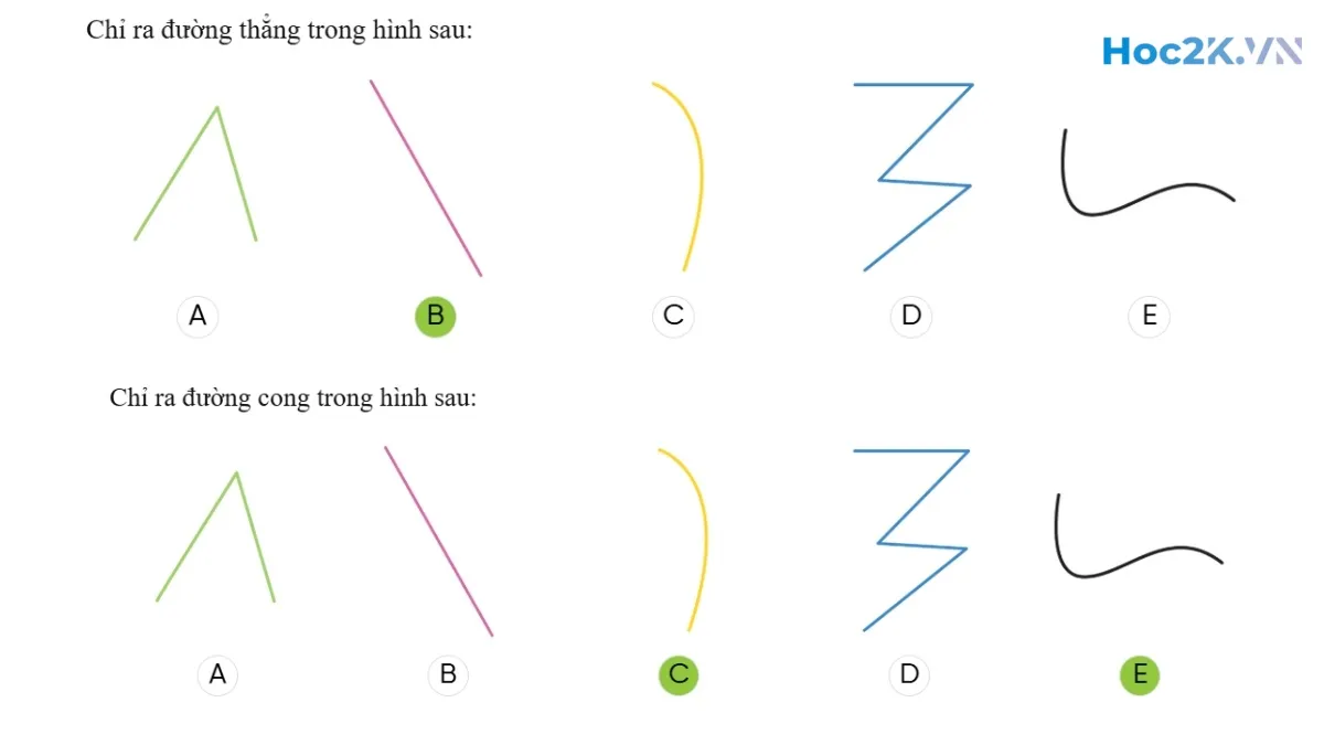 Ôn tập về hình học và đo lường - Hình 2