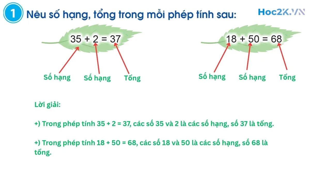 Số hạng – Tổng - Hình 2 Số hạng – Tổng - Hình 2